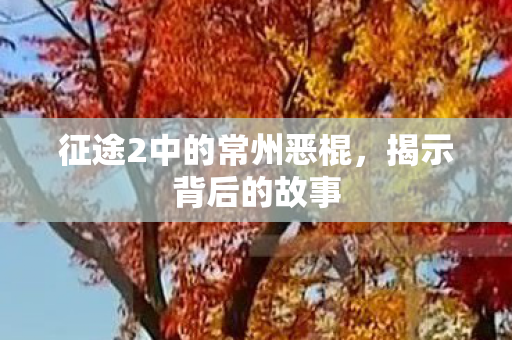 征途2中的常州恶棍,揭示背后的故事 征途2中的常州恶棍,揭示背后的故事