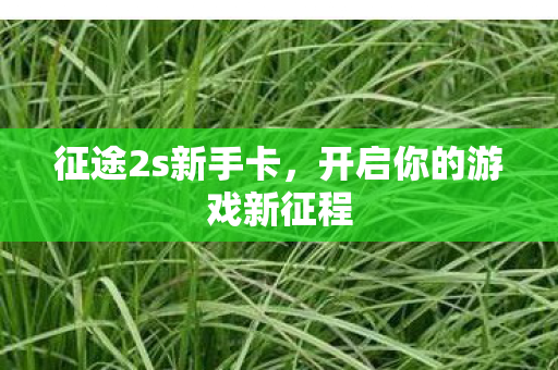 征途2s新手卡,开启你的游戏新征程 征途2s新手卡,开启你的游戏新征程