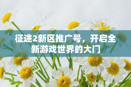 征途2新区推广号，开启全新游戏世界的大门