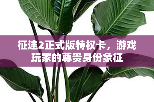 征途2正式版特权卡，游戏玩家的尊贵身份象征