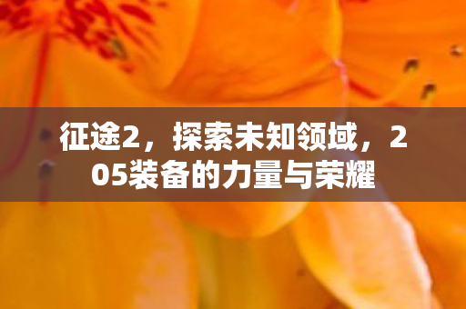 征途2，探索未知领域，205装备的力量与荣耀