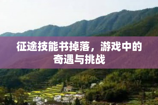 征途技能书掉落,游戏中的奇遇与挑战 征途技能书掉落,游戏中的奇遇与挑战