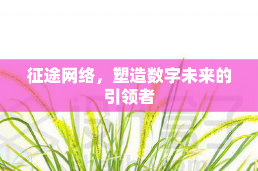 征途网络,塑造数字未来的引领者 征途网络,塑造数字未来的引领者