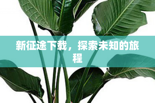 新征途下载,探索未知的旅程 新征途下载,探索未知的旅程