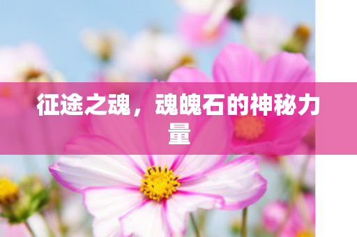 征途之魂,魂魄石的神秘力量 征途之魂,魂魄石的神秘力量