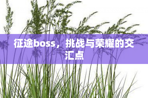 征途boss,挑战与荣耀的交汇点 征途boss,挑战与荣耀的交汇点