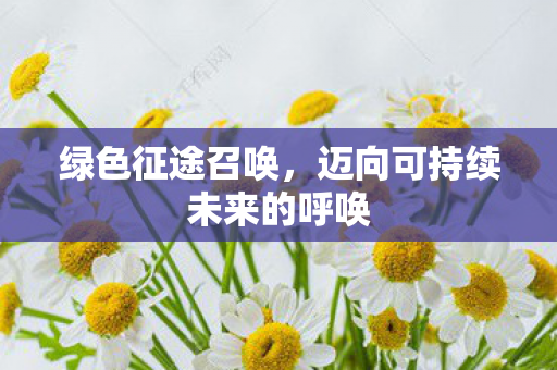 绿色征途召唤,迈向可持续未来的呼唤 绿色征途召唤,迈向可持续未来的呼唤