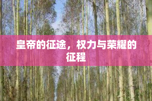 皇帝的征途,权力与荣耀的征程 皇帝的征途,权力与荣耀的征程