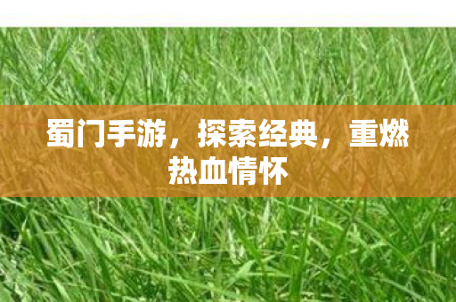 蜀门手游，探索经典，重燃热血情怀