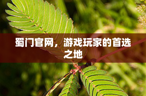 蜀门官网,游戏玩家的首选之地 蜀门官网,游戏玩家的首选之地