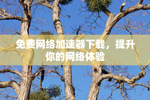 免费网络加速器下载，提升你的网络体验