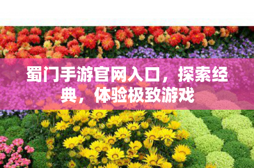 蜀门手游官网入口,探索经典,体验极致游戏 蜀门手游官网入口,探索经典,体验极致游戏