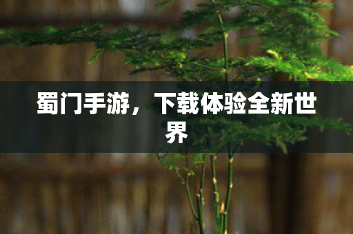 蜀门手游，下载体验全新世界