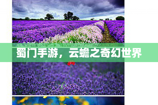 蜀门手游,云蟾之奇幻世界 蜀门手游,云蟾之奇幻世界