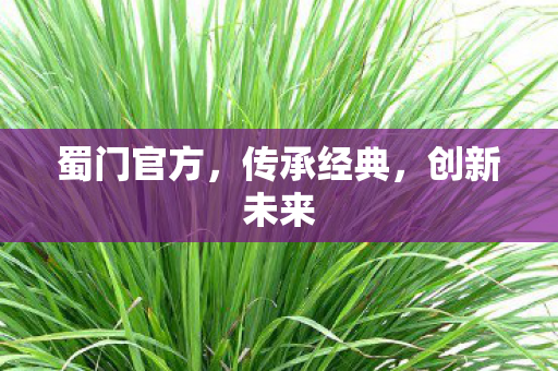蜀门官方,传承经典,创新未来 蜀门官方,传承经典,创新未来
