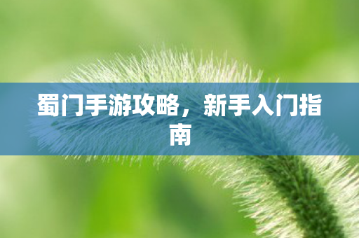 蜀门手游攻略，新手入门指南