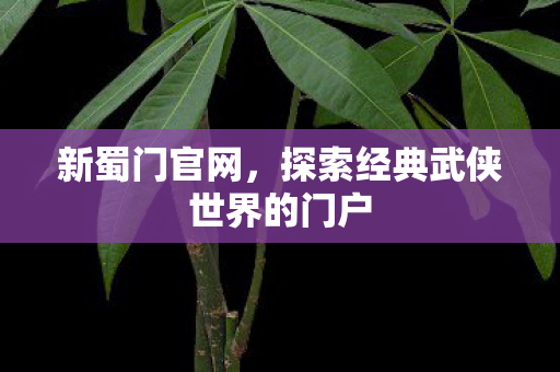 新蜀门官网，探索经典武侠世界的门户