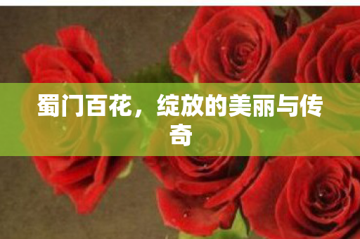 蜀门百花,绽放的美丽与传奇 蜀门百花,绽放的美丽与传奇