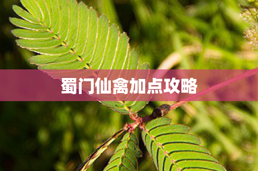 蜀门仙禽加点攻略 蜀门仙禽加点攻略
