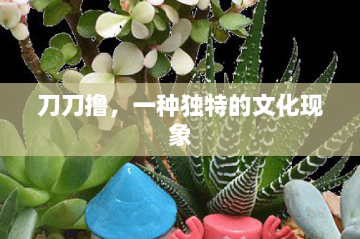 刀刀撸,一种独特的文化现象 刀刀撸,一种独特的文化现象