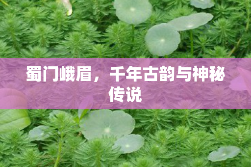 蜀门峨眉，千年古韵与神秘传说
