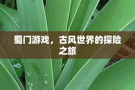 蜀门游戏,古风世界的探险之旅 蜀门游戏,古风世界的探险之旅