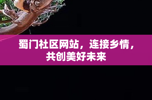 蜀门社区网站，连接乡情，共创美好未来