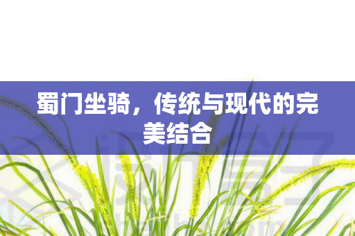 蜀门坐骑,传统与现代的完美结合 蜀门坐骑,传统与现代的完美结合