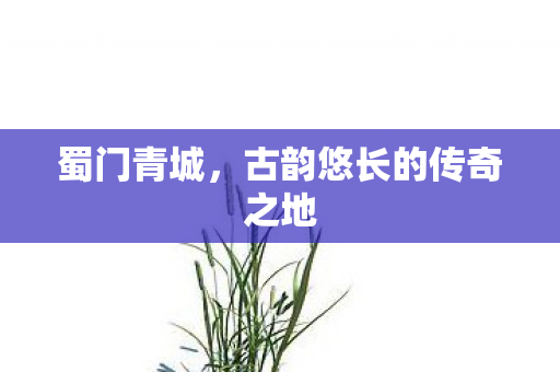 蜀门青城,古韵悠长的传奇之地 蜀门青城,古韵悠长的传奇之地
