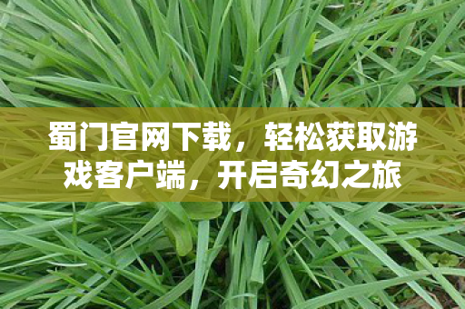 蜀门官网下载,轻松获取游戏客户端,开启奇幻之旅 蜀门官网下载,轻松获取游戏客户端,开启奇幻之旅