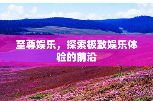 至尊娱乐,探索极致娱乐体验的前沿 至尊娱乐,探索极致娱乐体验的前沿