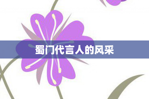 蜀门代言人的风采 蜀门代言人的风采