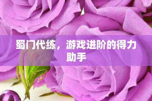 蜀门代练，游戏进阶的得力助手
