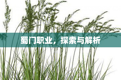 蜀门职业,探索与解析 蜀门职业,探索与解析