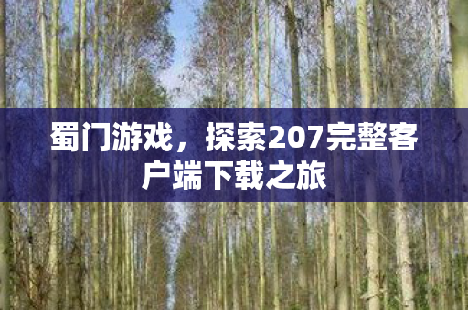 蜀门游戏,探索207完整客户端下载之旅 蜀门游戏,探索207完整客户端下载之旅