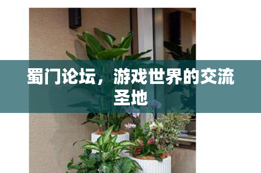 蜀门论坛,游戏世界的交流圣地 蜀门论坛,游戏世界的交流圣地