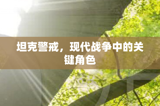 坦克警戒,现代战争中的关键角色 坦克警戒,现代战争中的关键角色