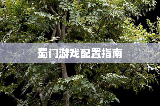 蜀门游戏配置指南 蜀门游戏配置指南