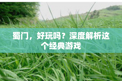 蜀门,好玩吗?深度解析这个经典游戏 蜀门,好玩吗?深度解析这个经典游戏