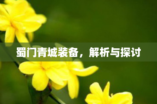 蜀门青城装备,解析与探讨 蜀门青城装备,解析与探讨