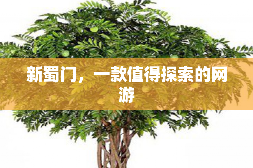 新蜀门,一款值得探索的网游 新蜀门,一款值得探索的网游