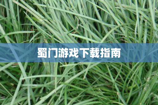 蜀门游戏下载指南 蜀门游戏下载指南