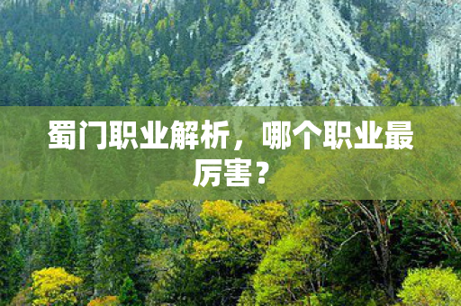 蜀门职业解析，哪个职业最厉害？