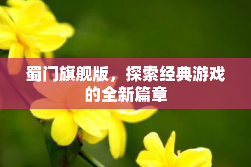 蜀门旗舰版，探索经典游戏的全新篇章
