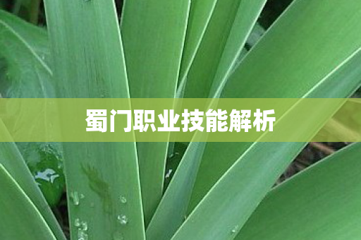 蜀门职业技能解析