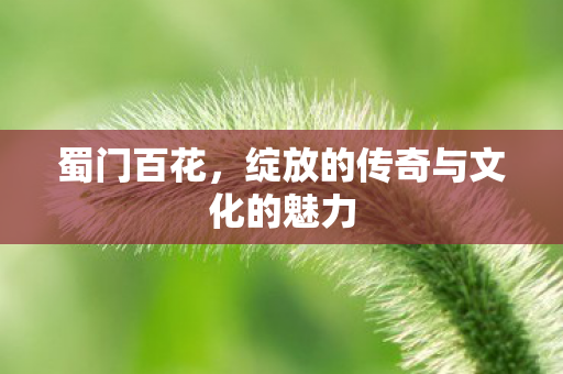 蜀门百花,绽放的传奇与文化的魅力 蜀门百花,绽放的传奇与文化的魅力