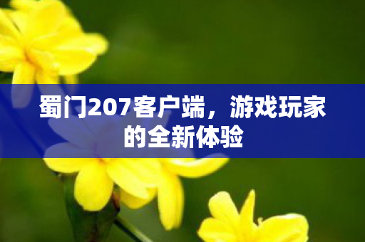 蜀门207客户端，游戏玩家的全新体验