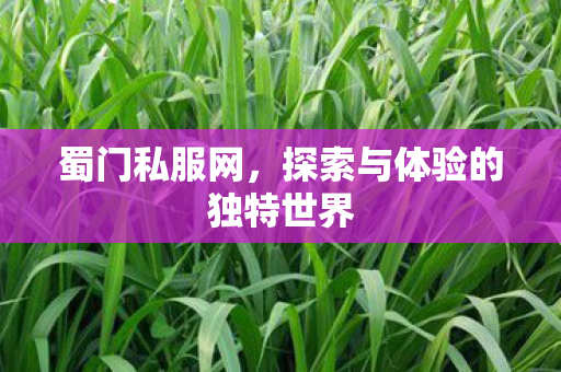蜀门私服网,探索与体验的独特世界 蜀门私服网,探索与体验的独特世界