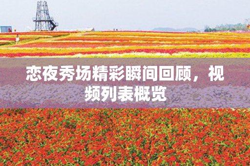 恋夜秀场精彩瞬间回顾,视频列表概览 恋夜秀场精彩瞬间回顾,视频列表概览