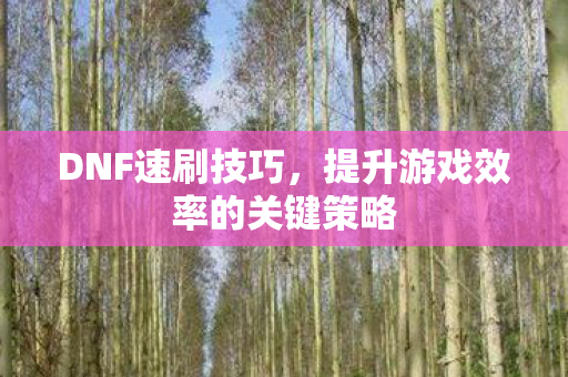 DNF速刷技巧，提升游戏效率的关键策略
